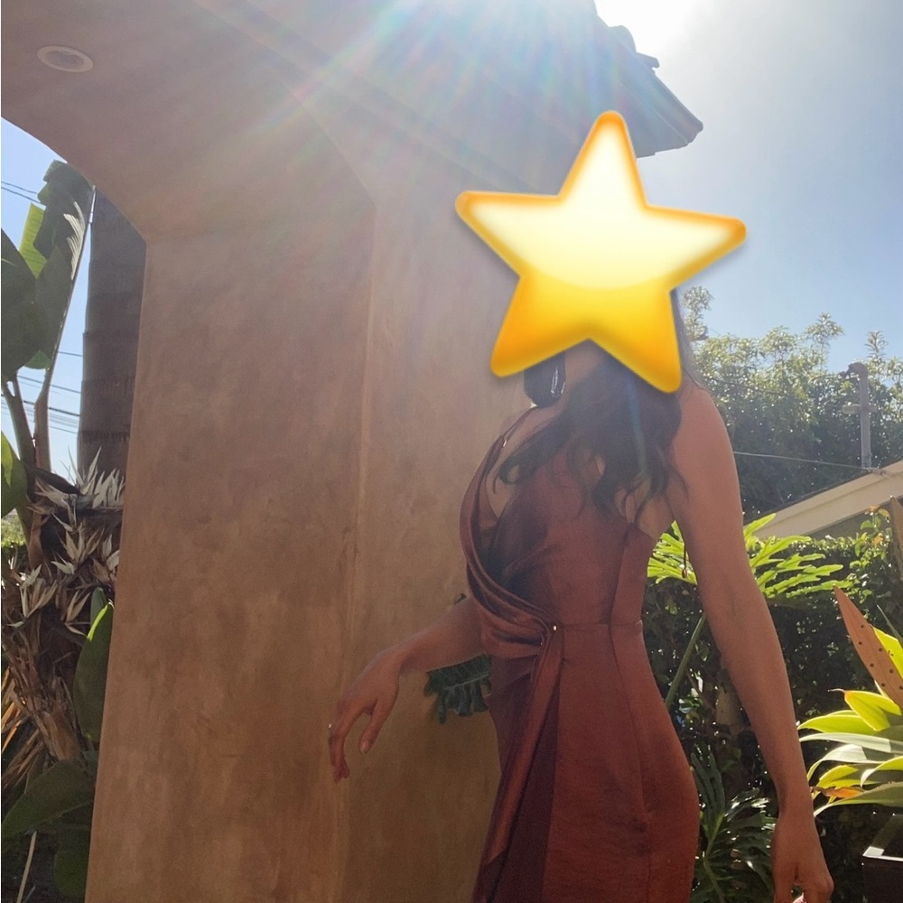 Revolve Significant Other Burnt Orange Dress.
